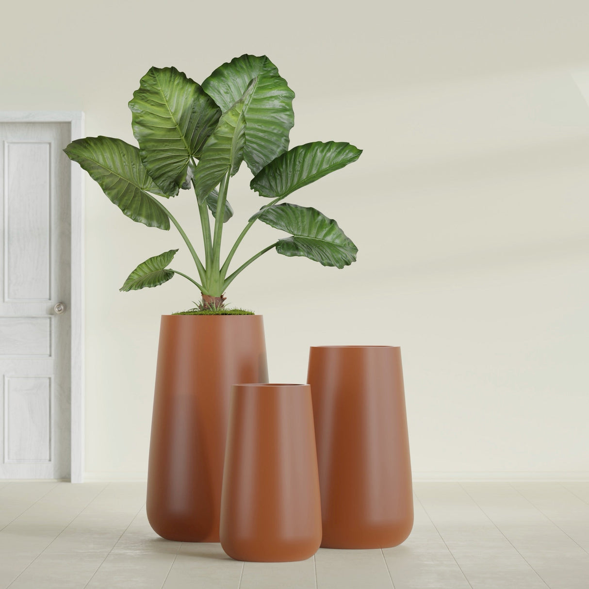 Saigon Tapered Round fiberglass planter in Matte Terra Cotta, size range, in a sunlit interior