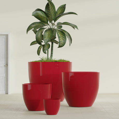 Wannsee Round fiberglass planter in Gloss Red, size range, in a sunlit interior