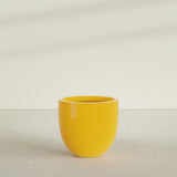Alzira Bowl Planter in Gloss Saffron, 30"D × 28"H, shown empty