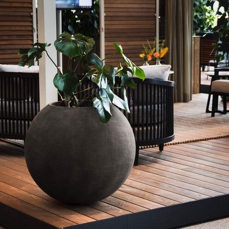 Orbo spherical Cosapots fiberglass planter, shown planted in an outdoor setting.