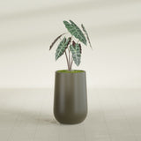 Hayden Urn fiberglass planter in Matte Bronze, shown planted, in a sunlit interior