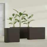 Milano Narrow Rectangular fiberglass planter in Matte Dark Brown, shown planted, in a sunlit interior