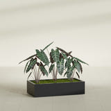 Antwerp Corner fiberglass planter in Matte Black, shown planted, in a sunlit interior