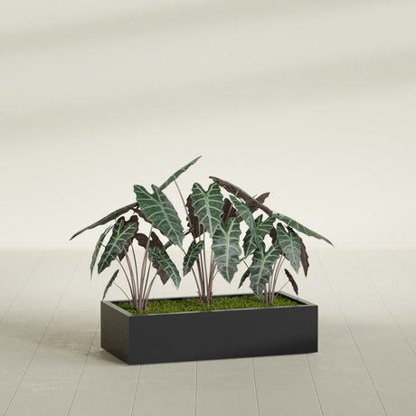 Antwerp Corner fiberglass planter in Matte Black, shown planted, in a sunlit interior