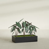 Antwerp Rectangular fiberglass planter in Matte Black, shown planted, in a sunlit interior