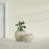 Shanghai Fishbowl fiberglass planter in Satin Beige, size range, in a sunlit interior