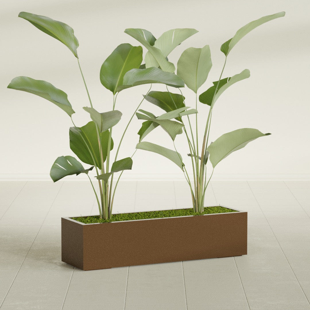 Cuba Low Rectangular fiberglass planter in Metallic Bronze, shown planted, in a sunlit interior