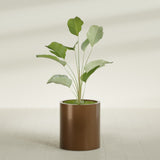 Rio Grande Cylinder fiberglass planter in Metallic Bronze, shown planted, in a sunlit interior