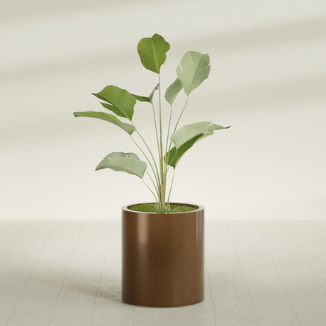 Rio Grande Cylinder fiberglass planter in Metallic Bronze, shown planted, in a sunlit interior
