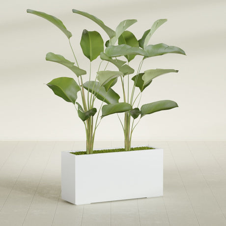 Tolga Corner fiberglass planter in Matte Bright White, shown planted, in a sunlit interior