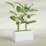 Tolga Rectangular fiberglass planter in Matte Bright White, shown planted, in a sunlit interior