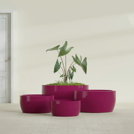 Casablanca Bowl fiberglass planter in Gloss Eggplant, size range, in a sunlit interior