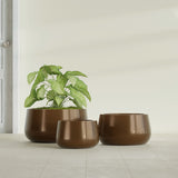 Short Hayden Bowl fiberglass planter in Metallic Bronze, size range, in a sunlit interior