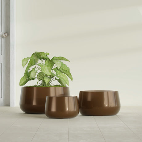 Short Hayden Bowl fiberglass planter in Metallic Bronze, size range, in a sunlit interior