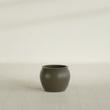 Shanghai Fishbowl Planter in Matte Bronze, 16", shown empty