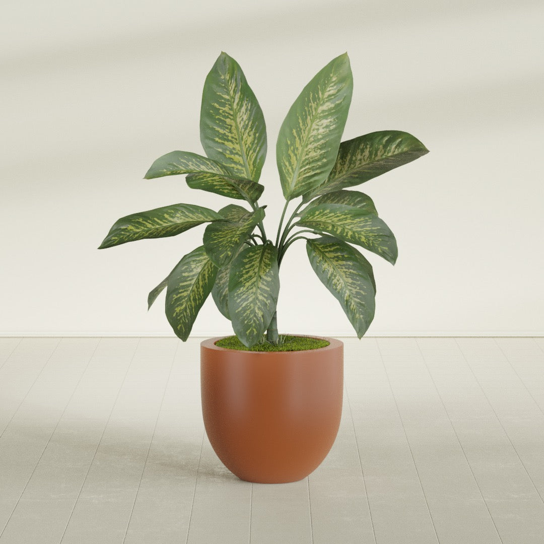 Alzira Bowl fiberglass planter in Matte Terra Cotta, shown planted, in a sunlit interior