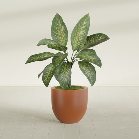 Alzira Bowl fiberglass planter in Matte Terra Cotta, shown planted, in a sunlit interior