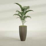 San Jose Tall Fluted fiberglass planter in Matte Bronze, shown planted, in a sunlit interior