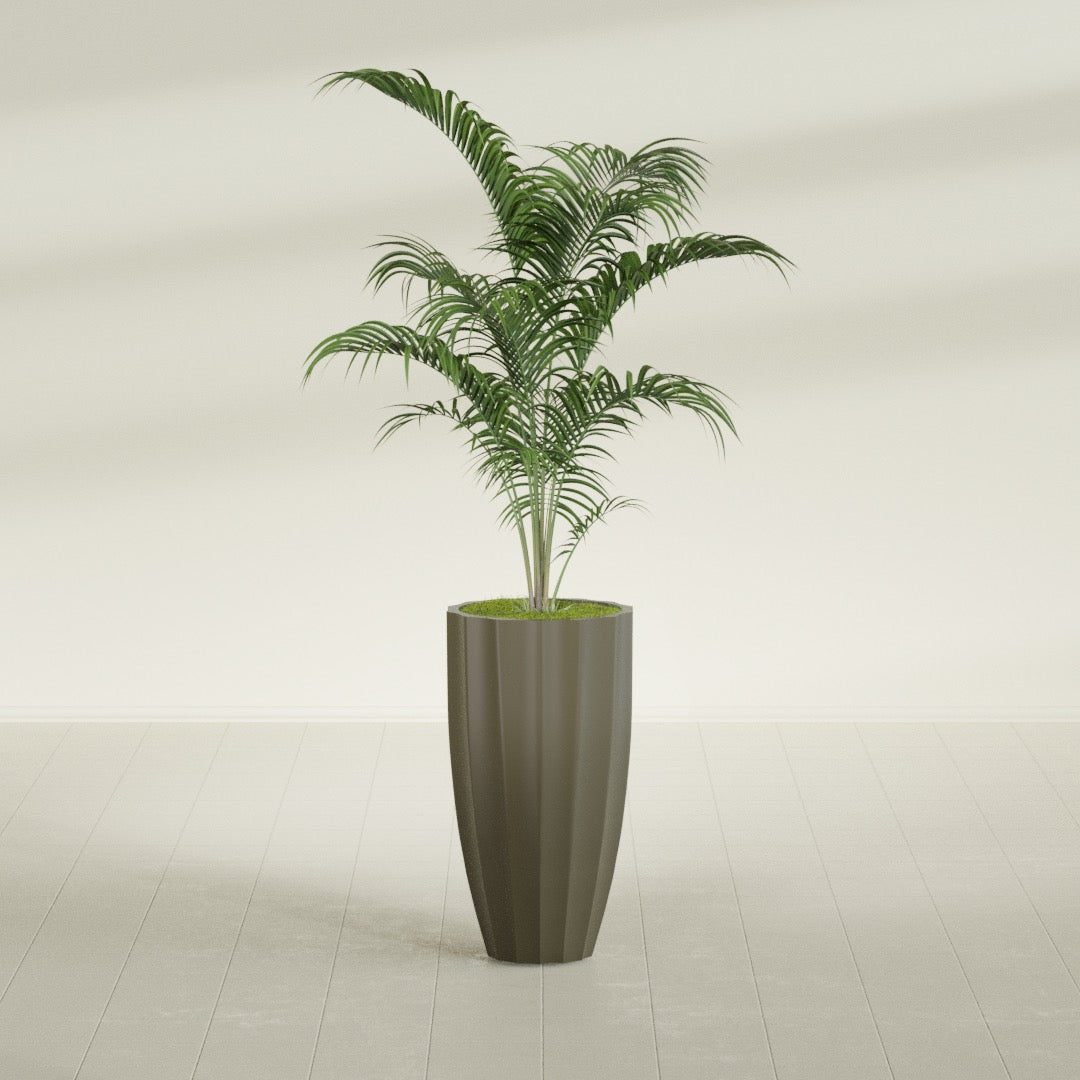 San Jose Tall Fluted fiberglass planter in Matte Bronze, shown planted, in a sunlit interior