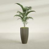 San Jose Tall Fluted fiberglass planter in Matte Bronze, shown planted, in a sunlit interior