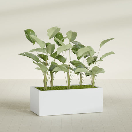 Torino Corner fiberglass planter in Gloss Bright White, shown planted, in a sunlit interior