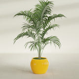 Shanghai Fishbowl fiberglass planter in Gloss Saffron, shown planted, in a sunlit interior