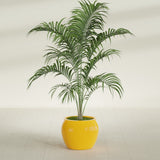 Shanghai Fishbowl fiberglass planter in Gloss Saffron, shown planted, in a sunlit interior