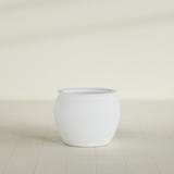 Shanghai Fishbowl Planter in Gloss Bright White, 22", shown empty