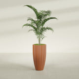 San Jose Tall Fluted fiberglass planter in Matte Terra Cotta, shown planted, in a sunlit interior
