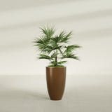 Brannan Tapered Round fiberglass planter in Metallic Bronze, shown planted, in a sunlit interior