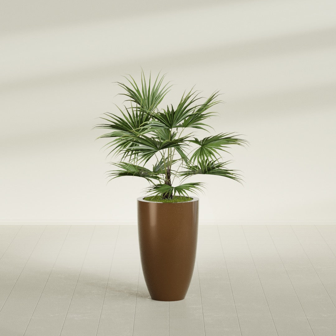 Brannan Tapered Round fiberglass planter in Metallic Bronze, shown planted, in a sunlit interior