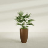 Brannan Tapered Round fiberglass planter in Metallic Bronze, shown planted, in a sunlit interior