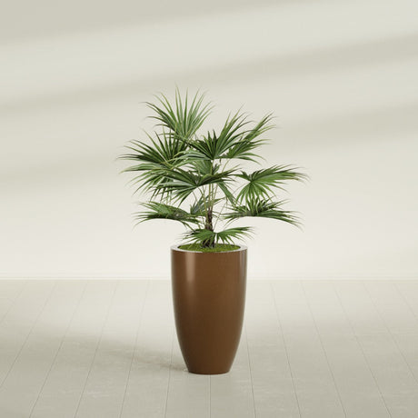 Brannan Tapered Round fiberglass planter in Metallic Bronze, shown planted, in a sunlit interior
