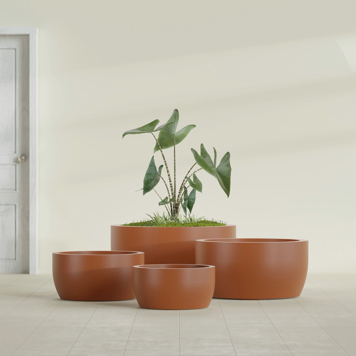 Casablanca Bowl fiberglass planter in Matte Terra Cotta, size range, in a sunlit interior