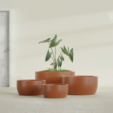 Casablanca Bowl fiberglass planter in Matte Terra Cotta, size range, in a sunlit interior