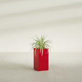 Hollywood Narrow Rectangular fiberglass planter in Gloss Red, shown planted, in a sunlit interior