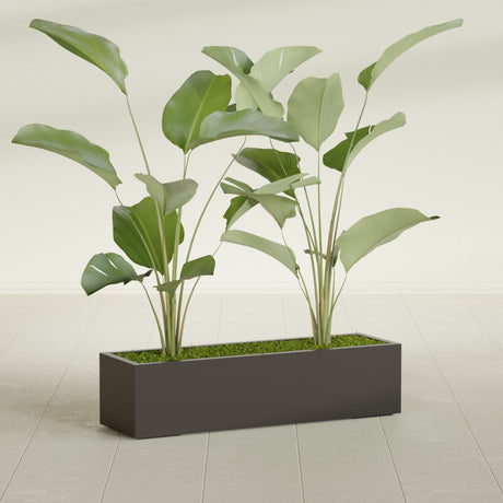 Cuba Low Rectangular fiberglass planter in Matte Dark Brown, shown planted, in a sunlit interior
