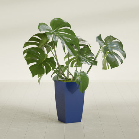 Toulan Tapered Square fiberglass planter in Matte Cobalt Blue, shown planted, in a sunlit interior