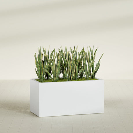 Granada fiberglass planter in Gloss Bright White, shown planted, in a sunlit interior