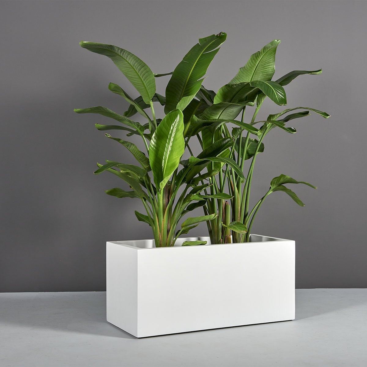 Badalona rectangular fiberglass planter
