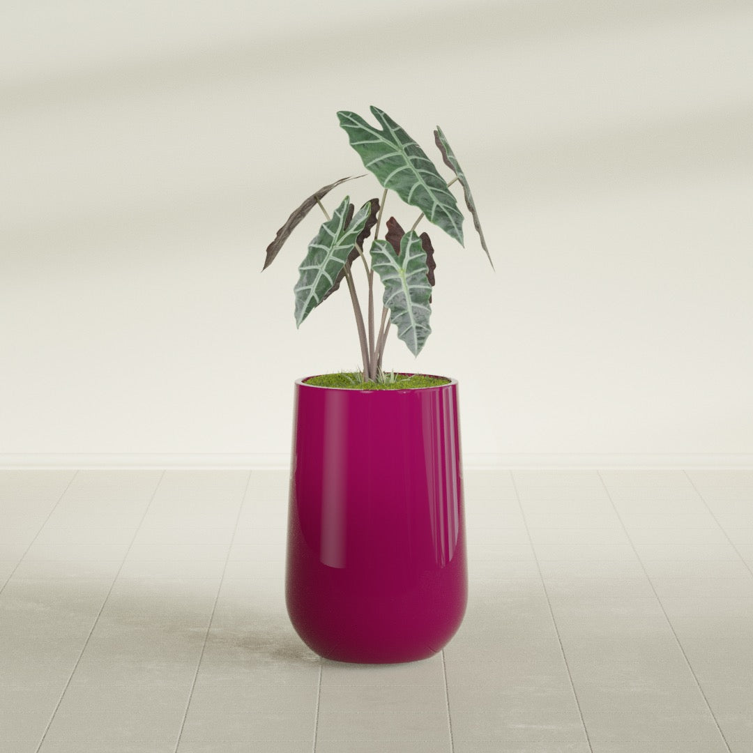 Hayden Urn fiberglass planter in Gloss Eggplant, shown planted, in a sunlit interior