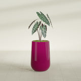 Hayden Urn fiberglass planter in Gloss Eggplant, shown planted, in a sunlit interior