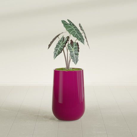 Hayden Urn fiberglass planter in Gloss Eggplant, shown planted, in a sunlit interior
