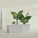 Panama Tapered Rectangular fiberglass planter in Metallic Silver, shown planted, in a sunlit interior