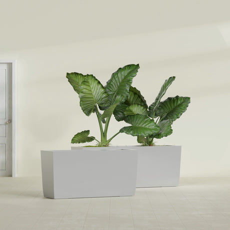 Panama Tapered Rectangular fiberglass planter in Metallic Silver, shown planted, in a sunlit interior