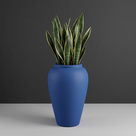 Barà Jar fiberglass planter in Matte Cobalt Blue, planted with cluster of snake plants, studio