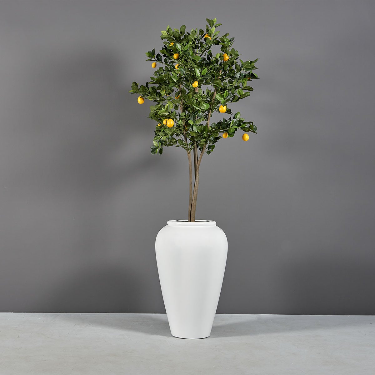Bara jar fiberglass planter, planted with a standard lemon tree