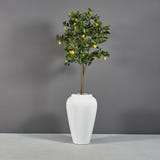 Bara jar fiberglass planter, planted with a standard lemon tree