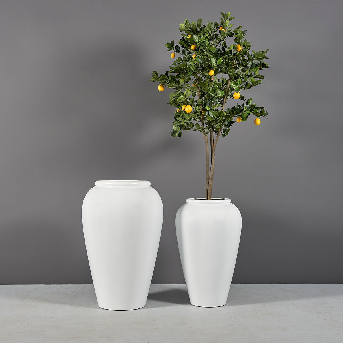 Bara jar fiberglass planter, two sizes, the taller planted with a standard lemon tree
