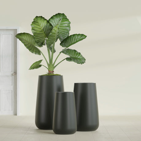 Saigon Tapered Round fiberglass planter in Matte Charcoal, size range, in a sunlit interior